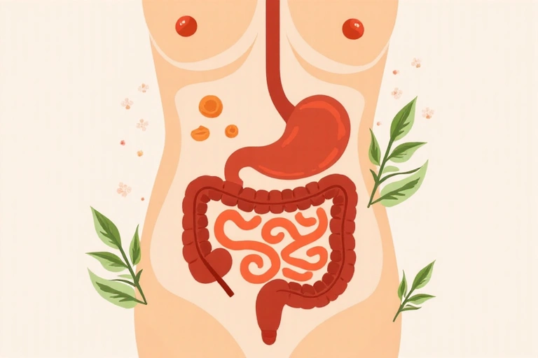 Illustration of a healthy digestive system with soothing elements
